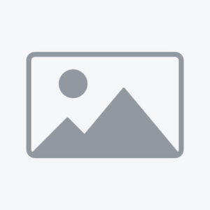 Lorem ipsum dolor sit amet, consectetur adipiscing elit. Morbi maximus a tellus eu facilisis. Pellentesque ultricies rhoncus felis eu pulvinar. Etiam imperdiet id leo quis malesuada. Sed pharetra auctor erat, sit amet vestibulum nibh. Pellentesque a auctor ligula. Vivamus massa libero, euismod sed posuere ut, lobortis ac dolor. Morbi egestas, mauris ut cursus rhoncus, sem enim iaculis ante, quis commodo mi tortor quis erat.